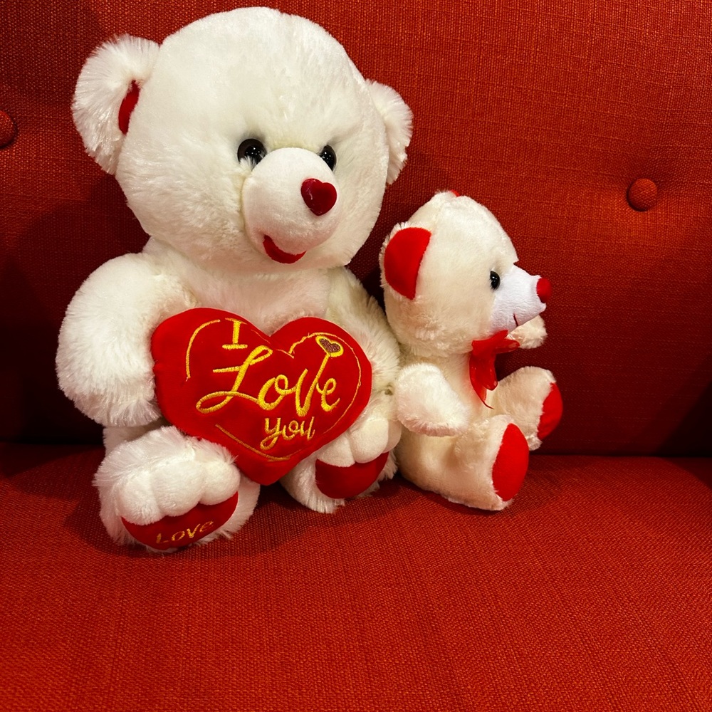 “I love you” Valentines teddy bear bundle